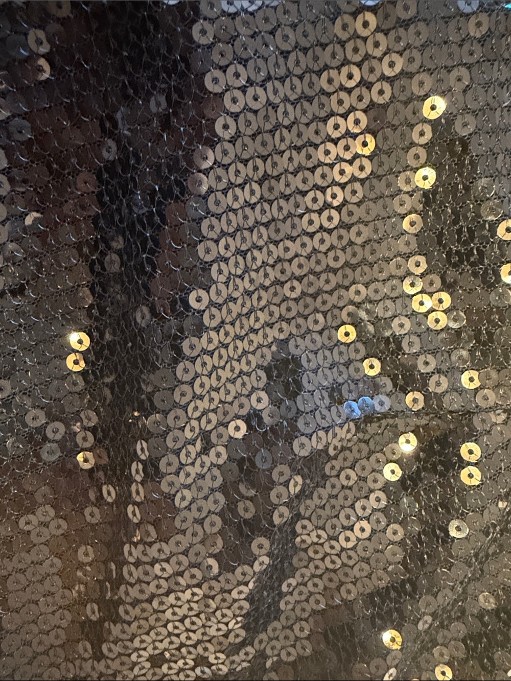 Sequin Low-Waisted Party Shorts - Black - Picture 2 of 2